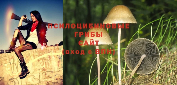 прущие крисы Алексеевка