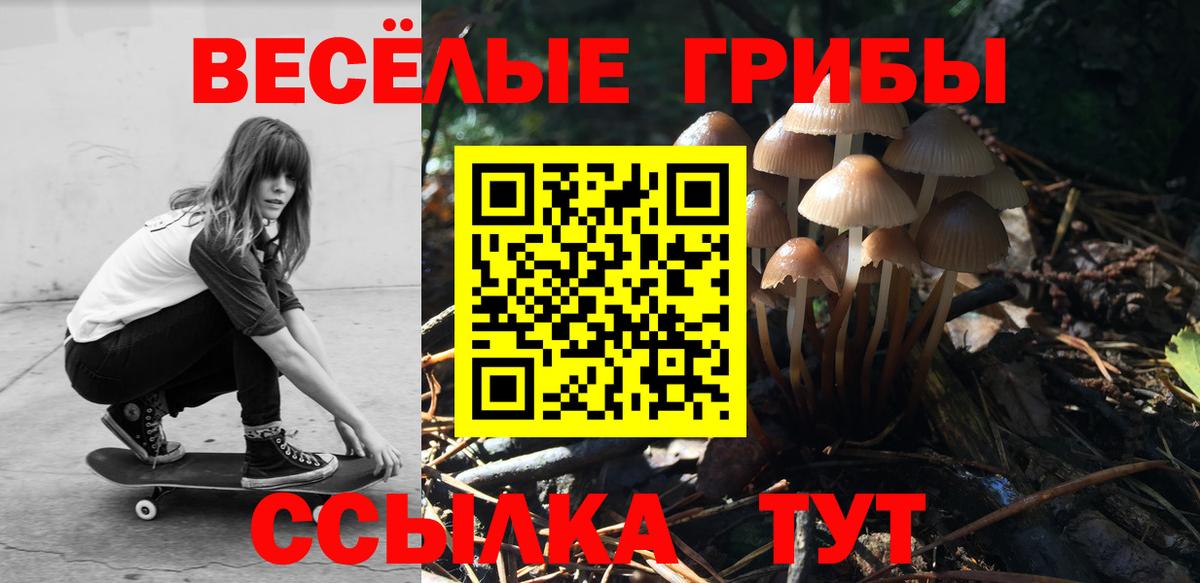 Псилоцибиновые грибы Cubensis  Вход с VPN  купить закладку  Балашов 